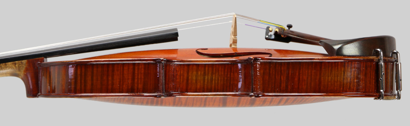 Violin side view