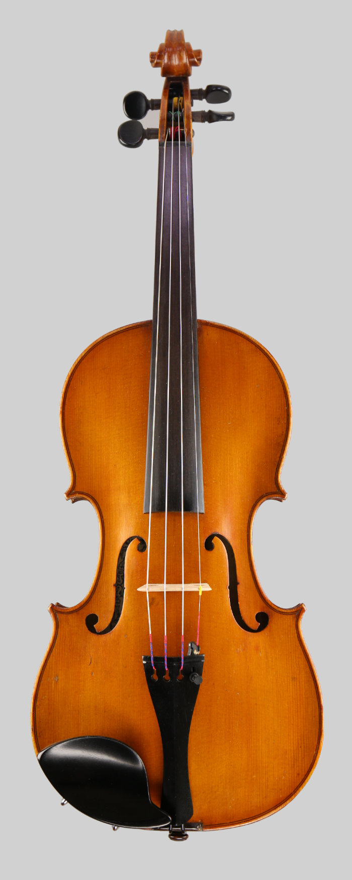 Violin front