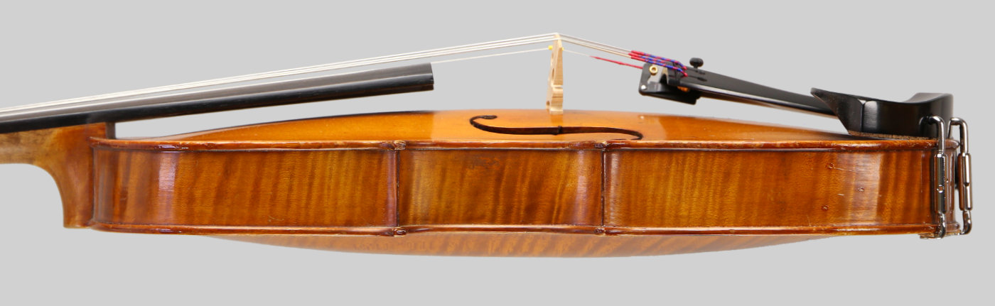 Violin side view