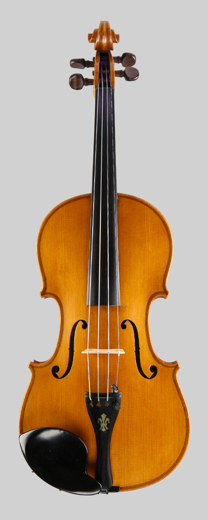 Violin front