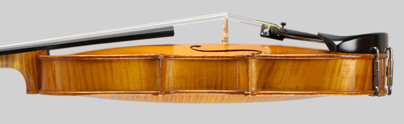 Violin side view