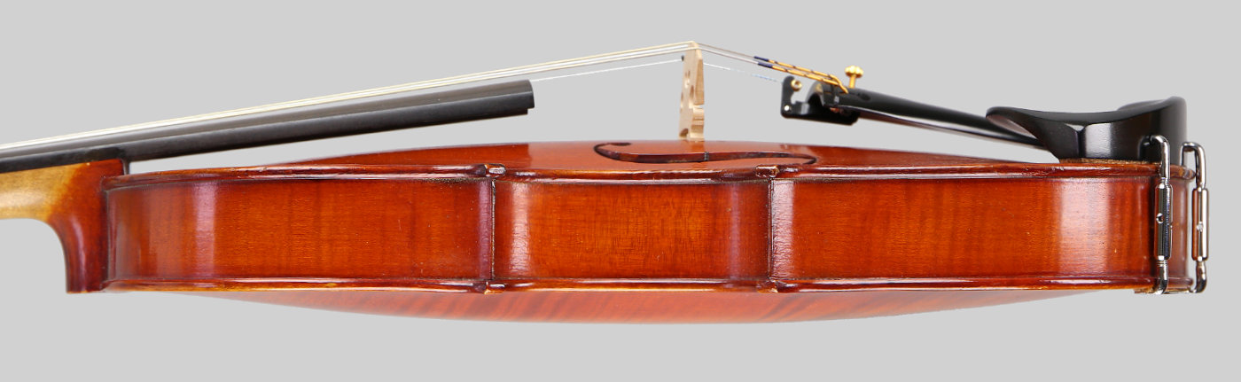 Violin side view