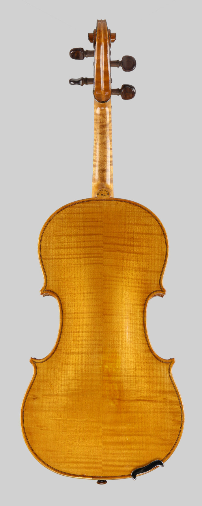 Violin back