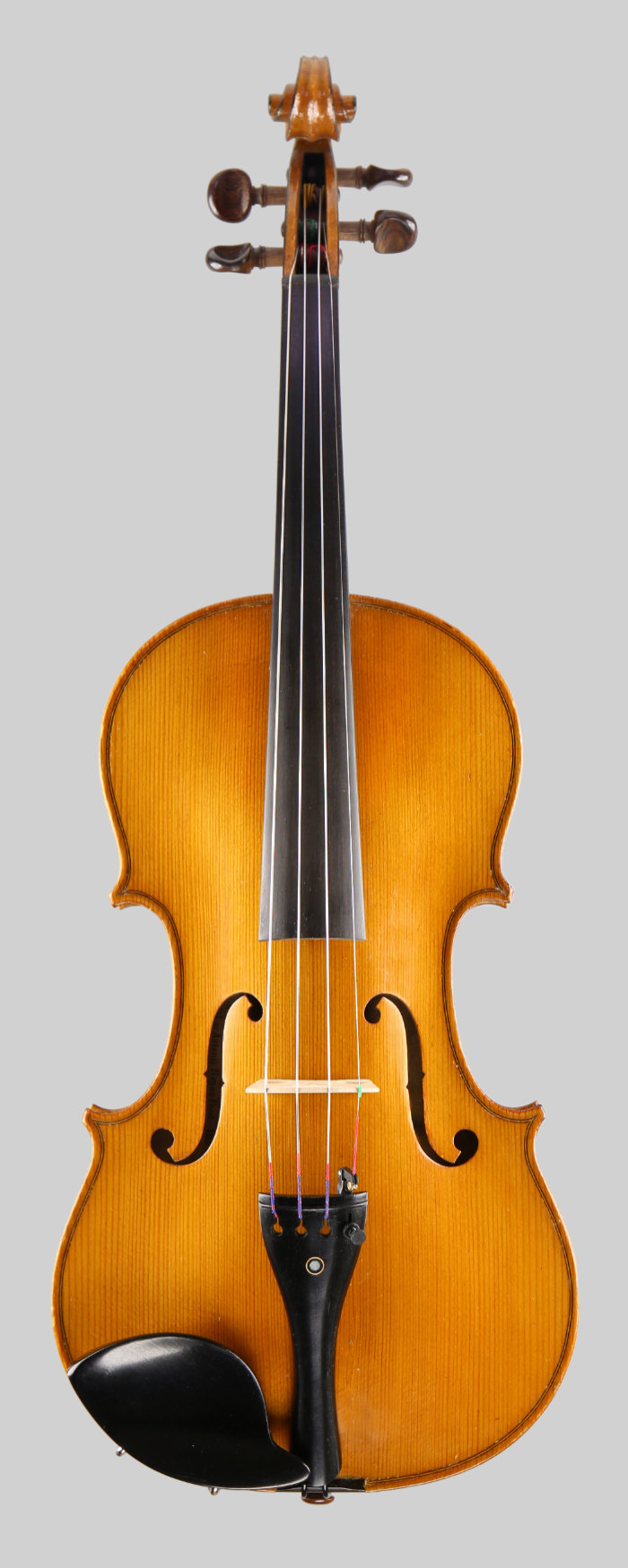 Violin front