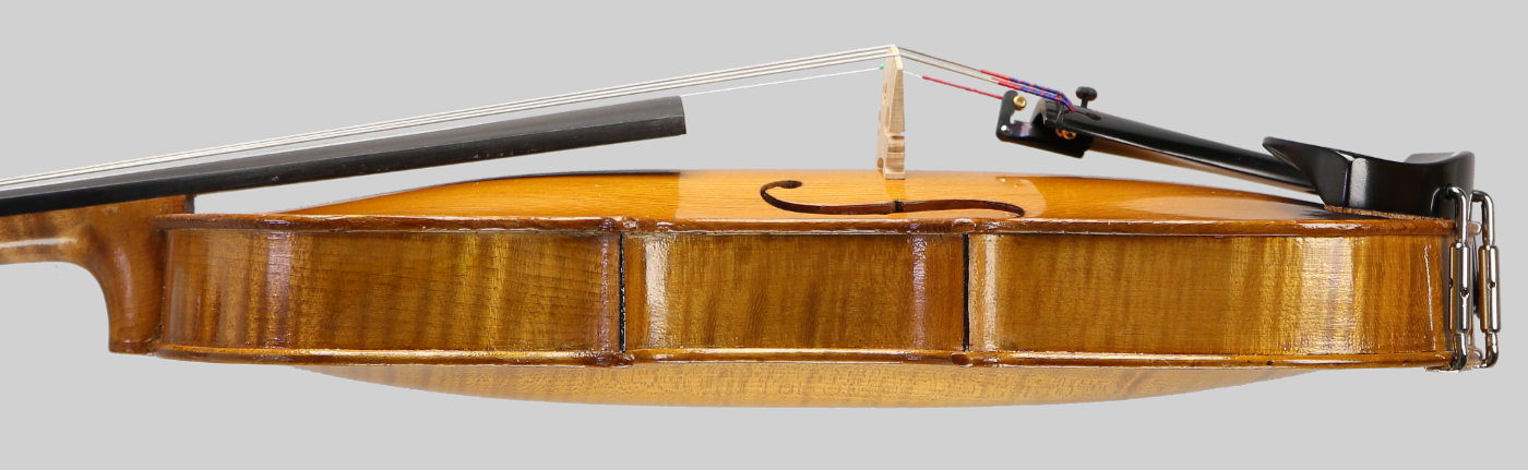 Violin side view