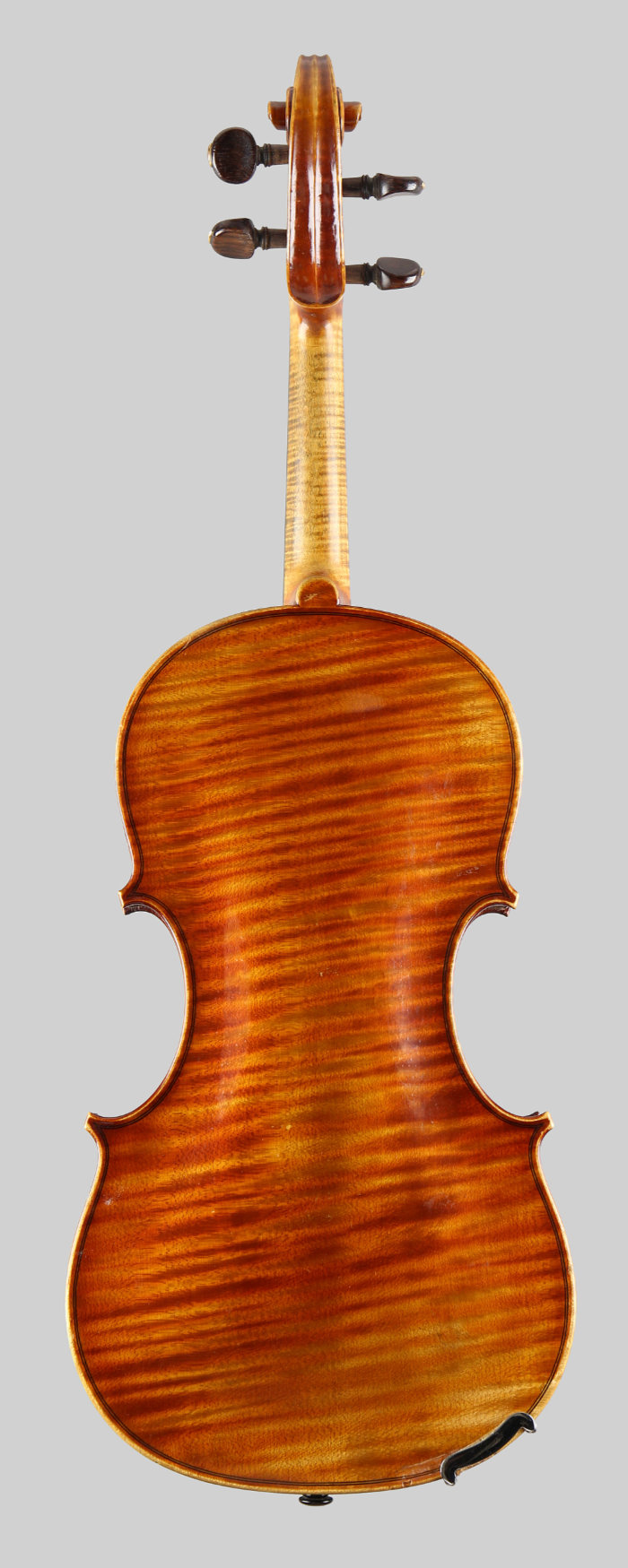 Violin back