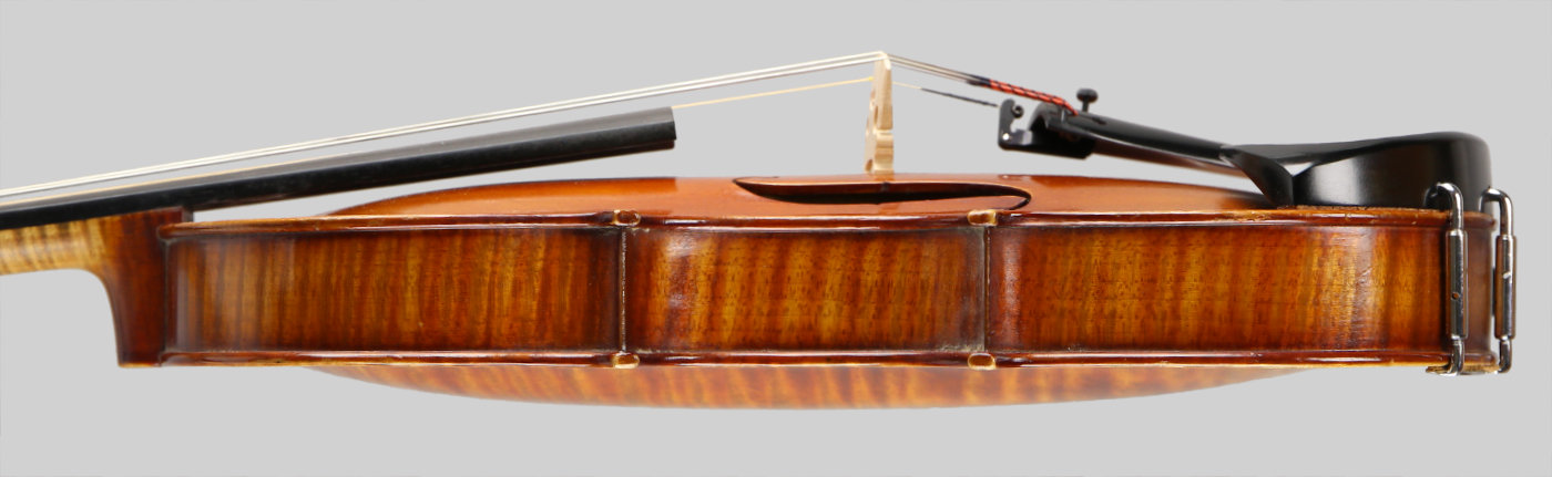 Violin side view