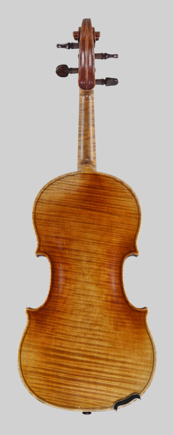 Violin back