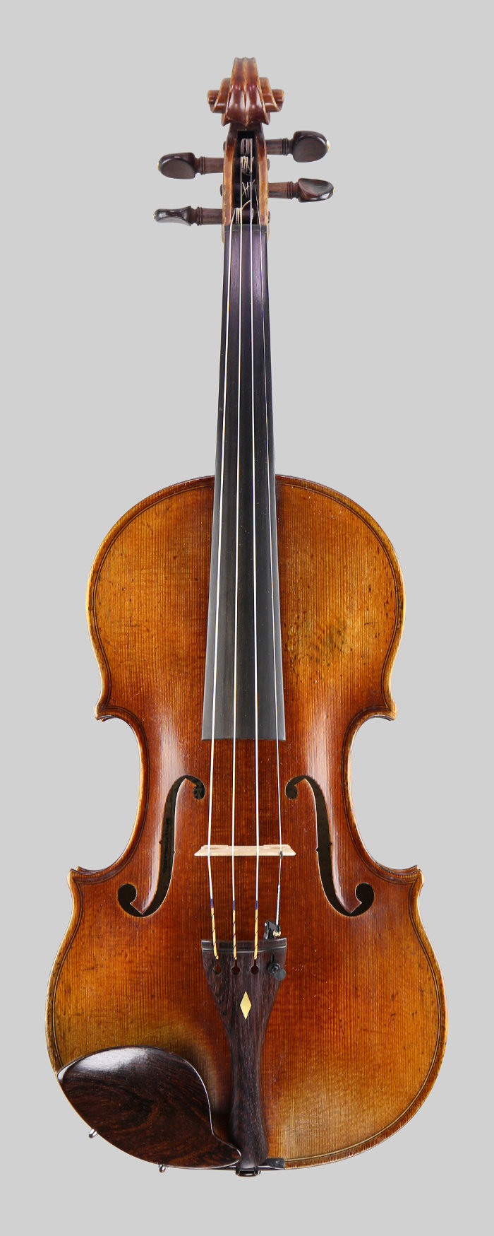 Violin front