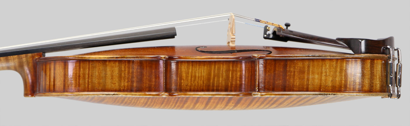 Violin side view