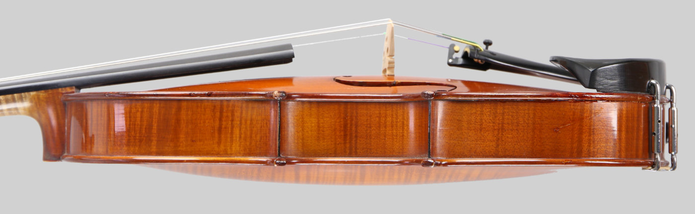 Violin side view