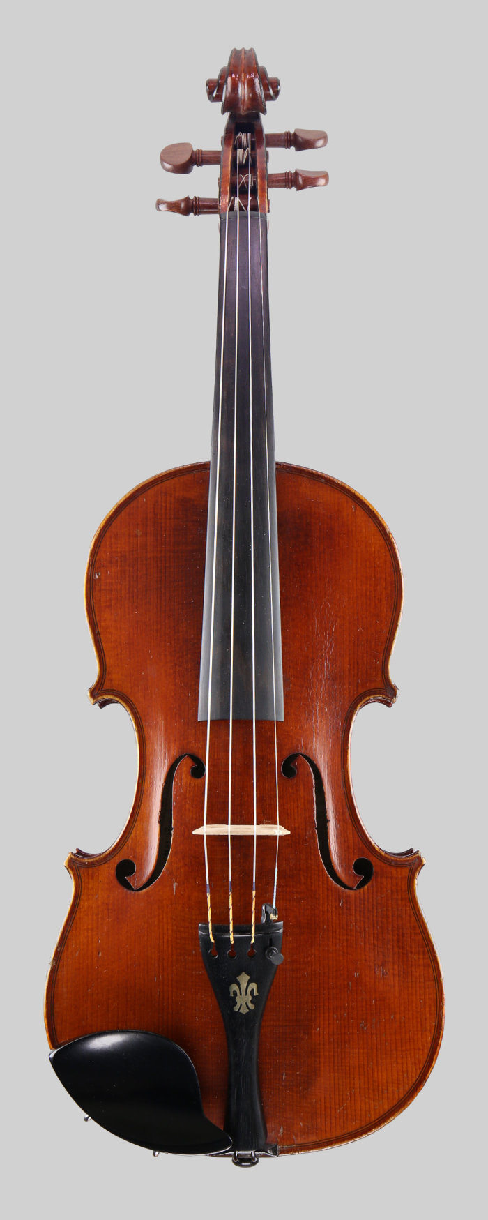 Violin front