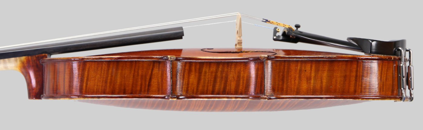 Violin side view