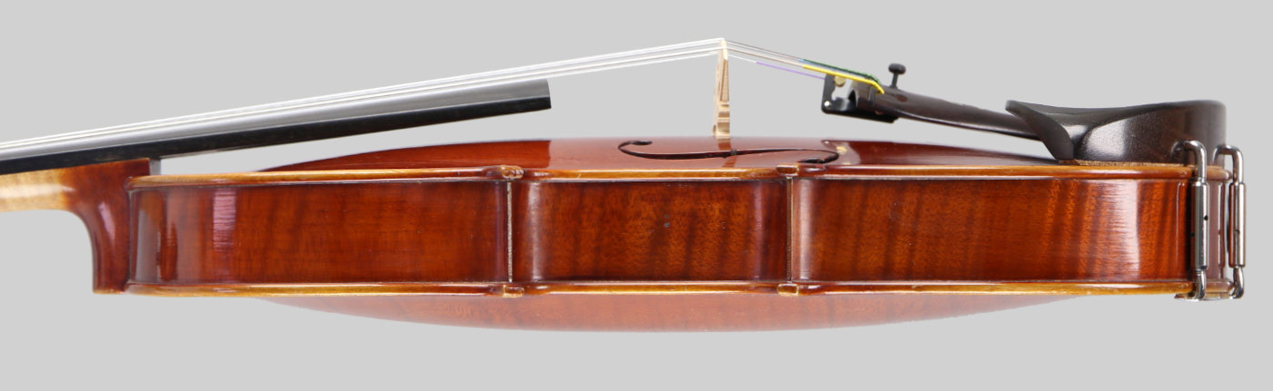 Violin side view