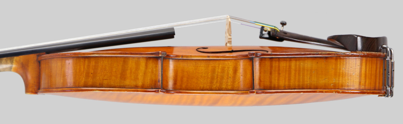 Violin side view