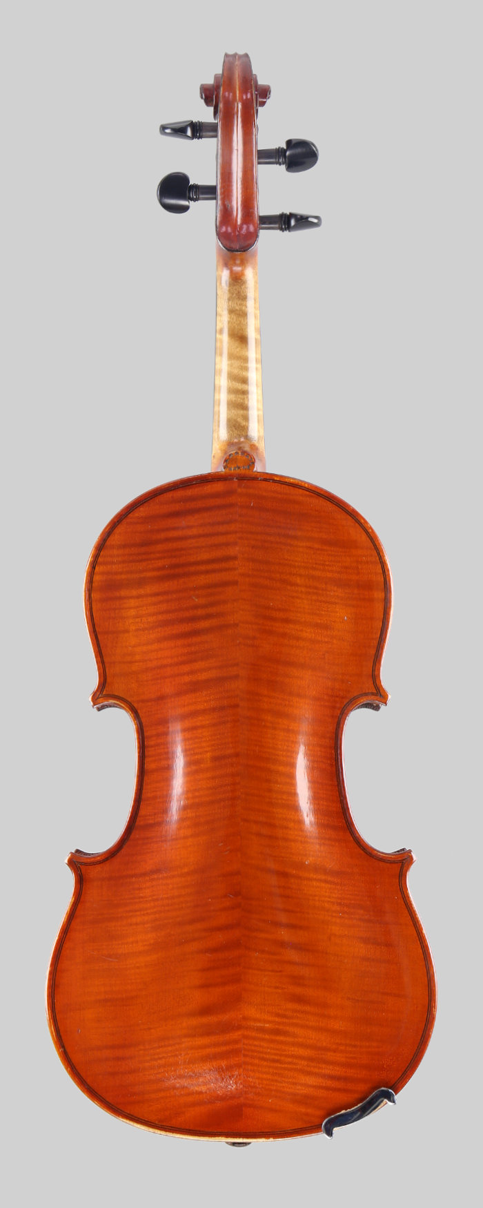 Violin back