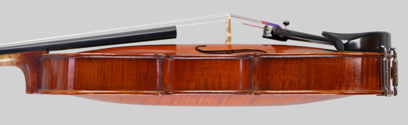 Violin side view