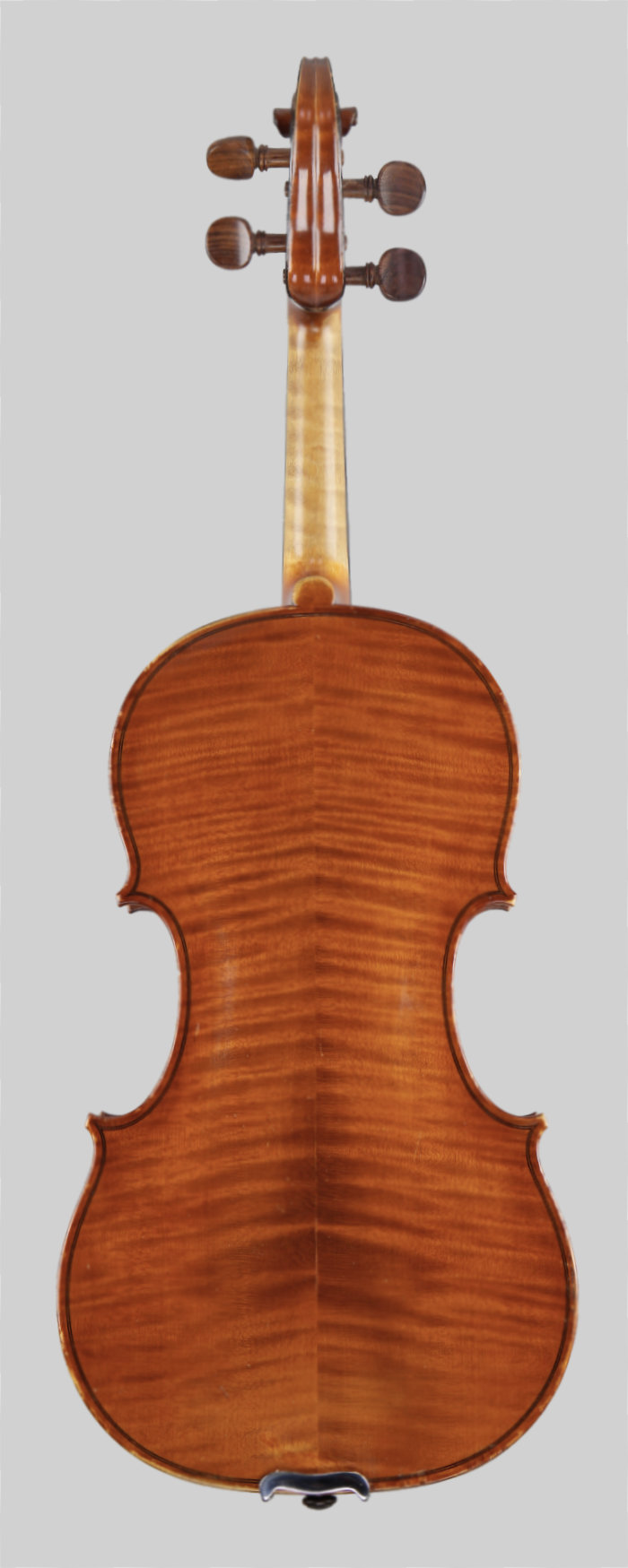 Violin back