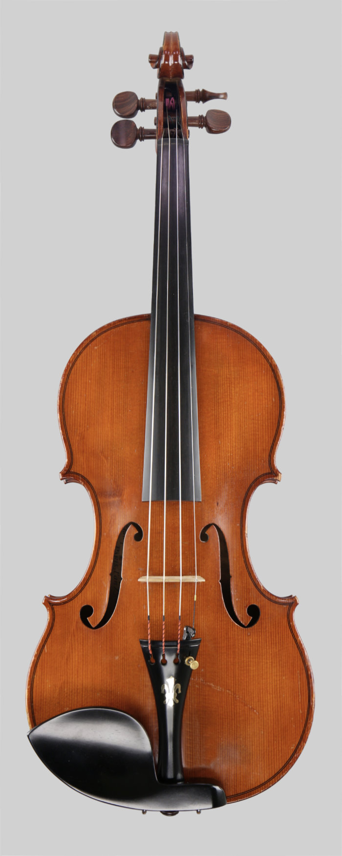 Violin front