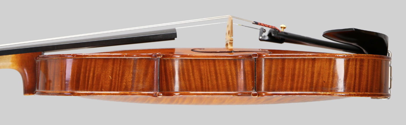 Violin side view