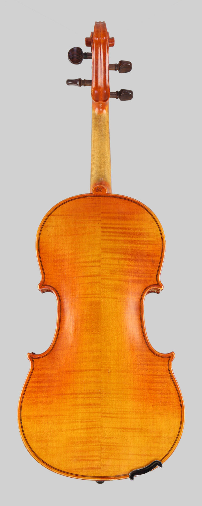 Violin back