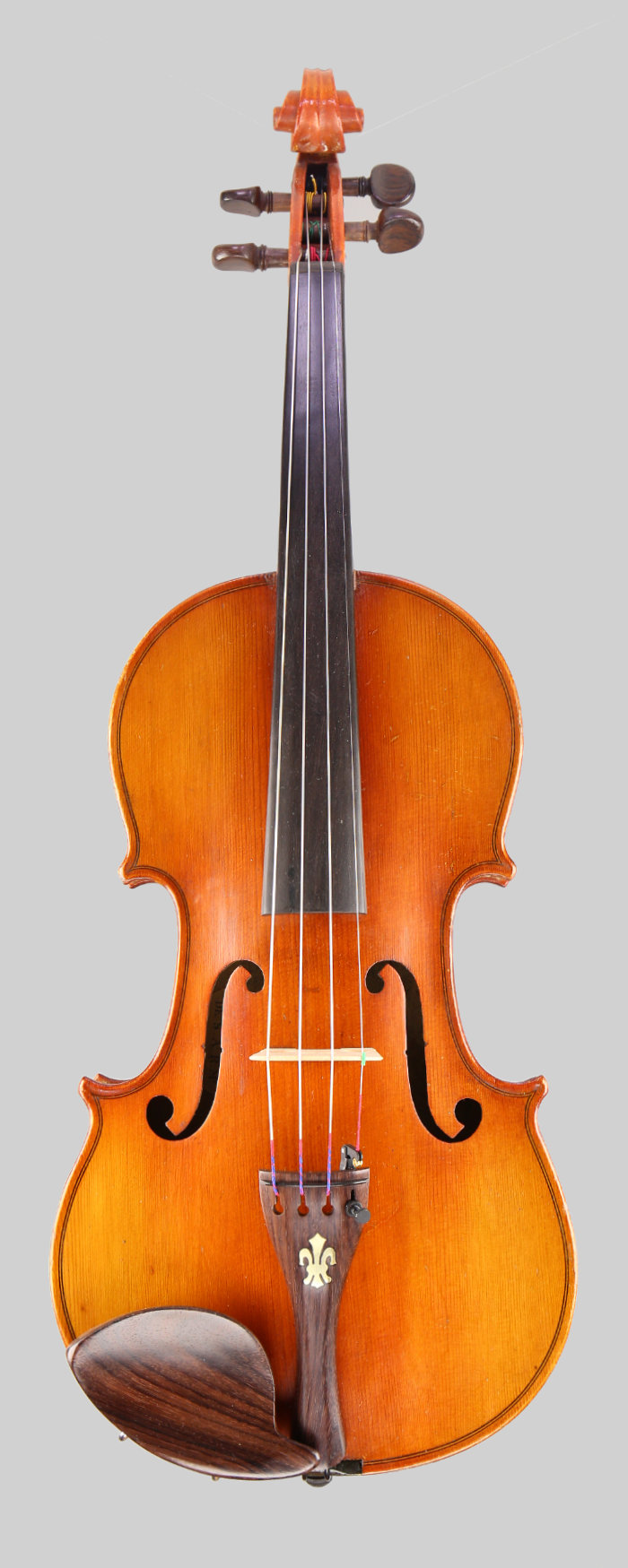 Violin front