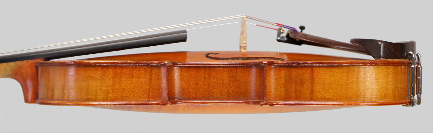 Violin side view