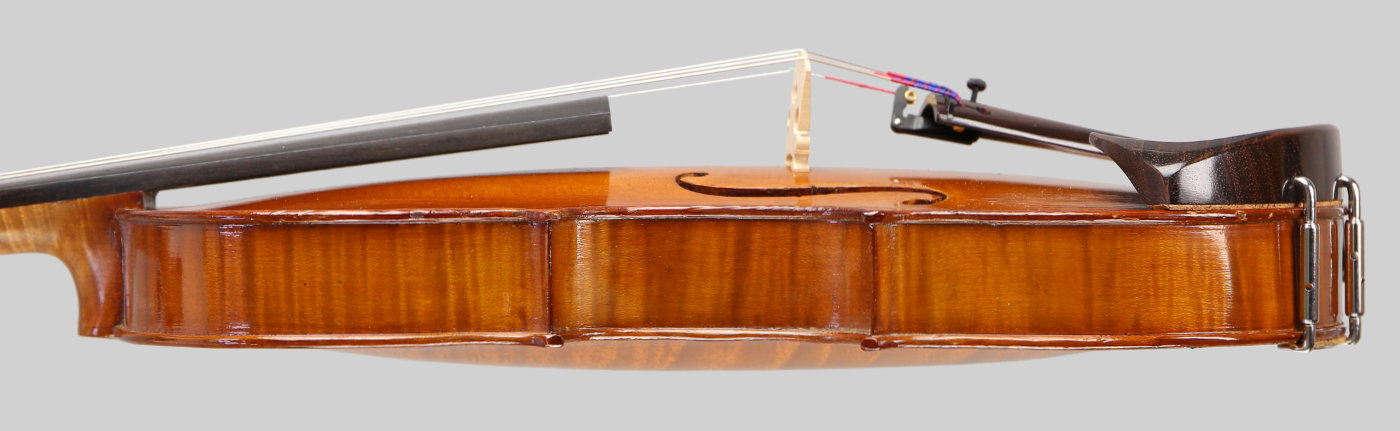 Violin side view