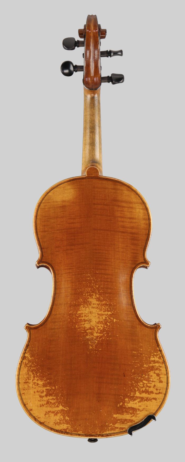 Violin back