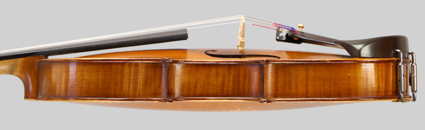 Violin side view