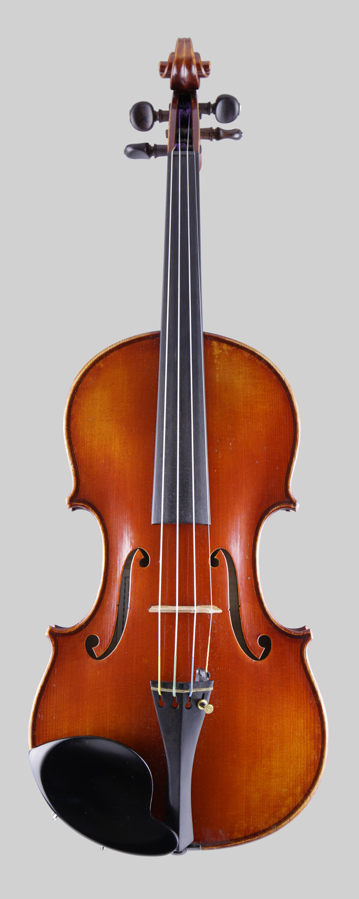 Violin front