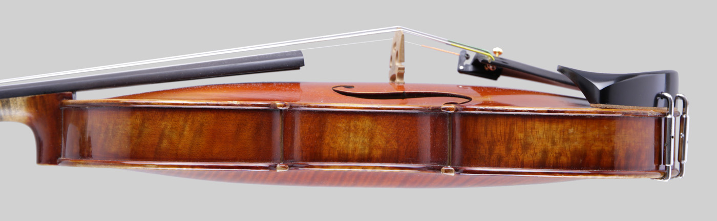 Violin side view