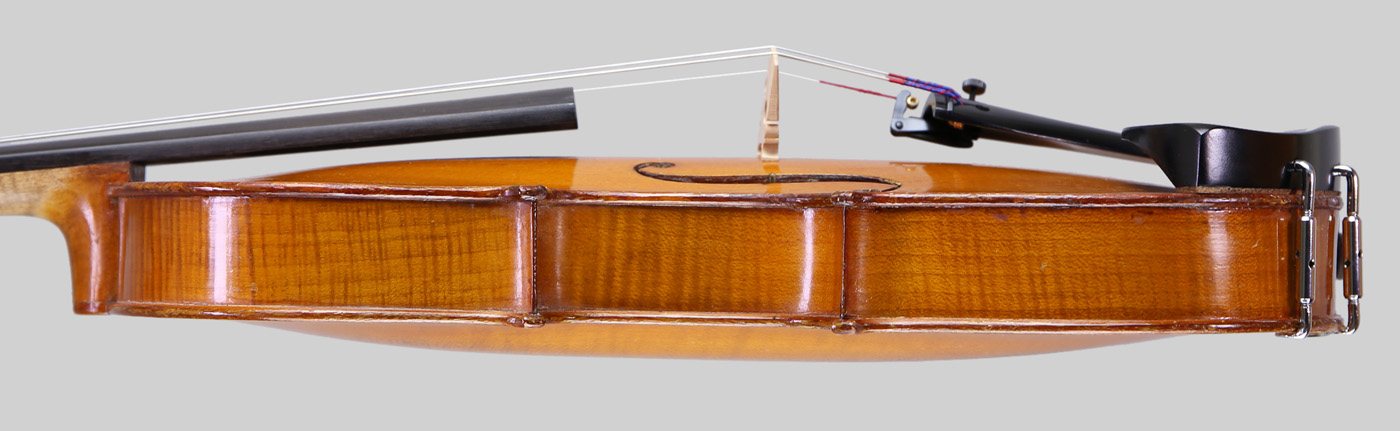 Violin side view