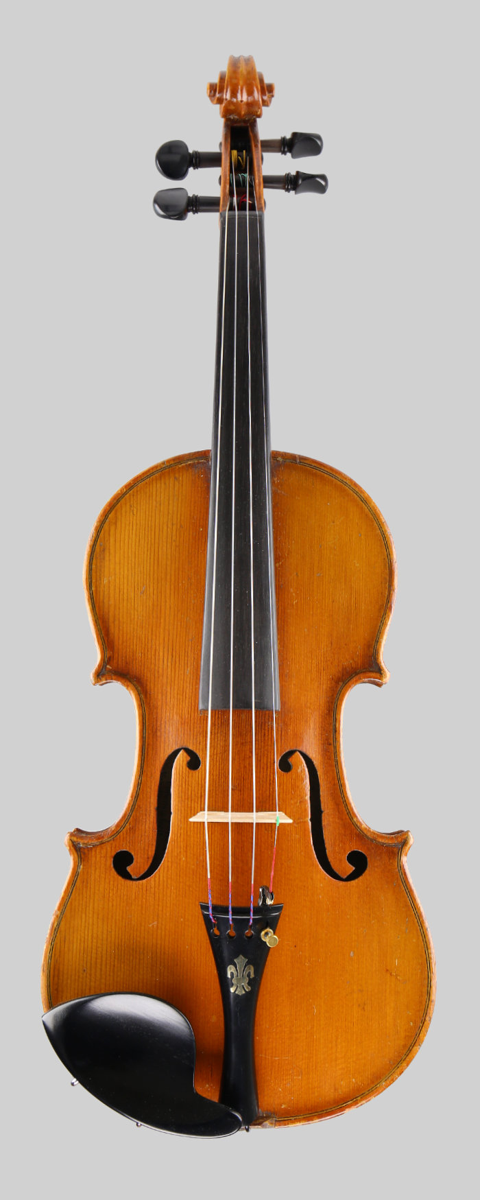 Violin front