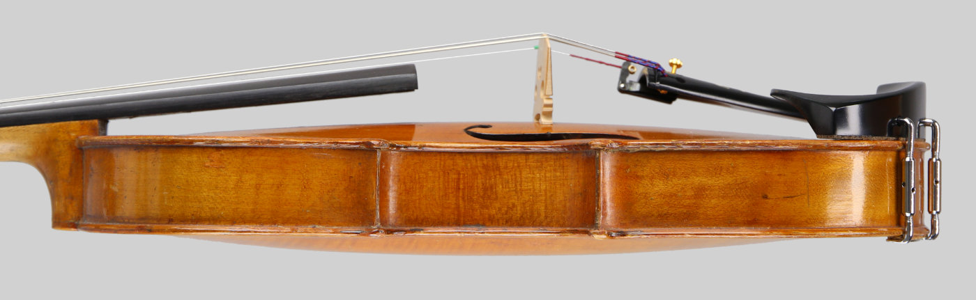 Violin side view