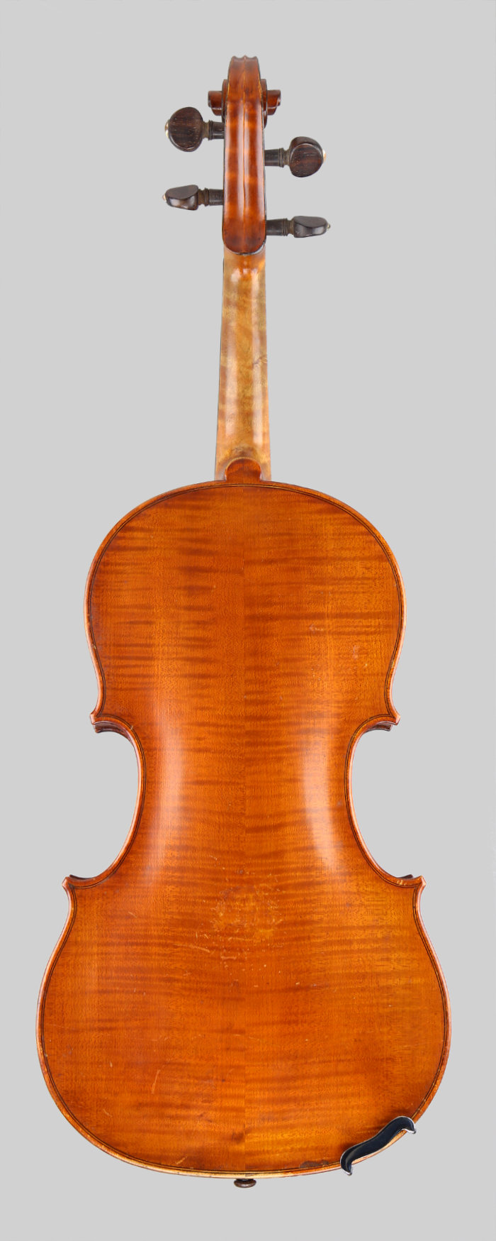 Violin back