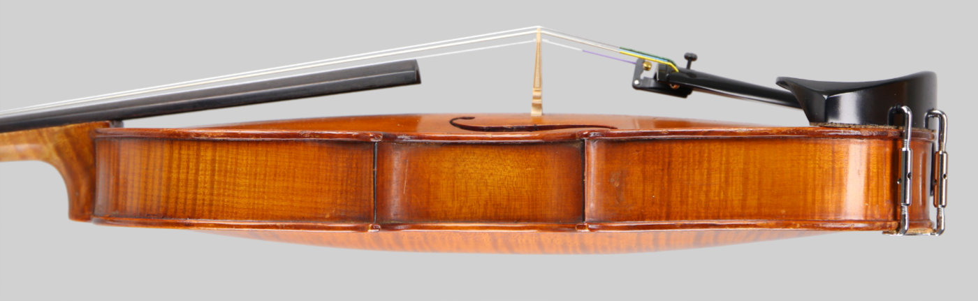 Violin side view