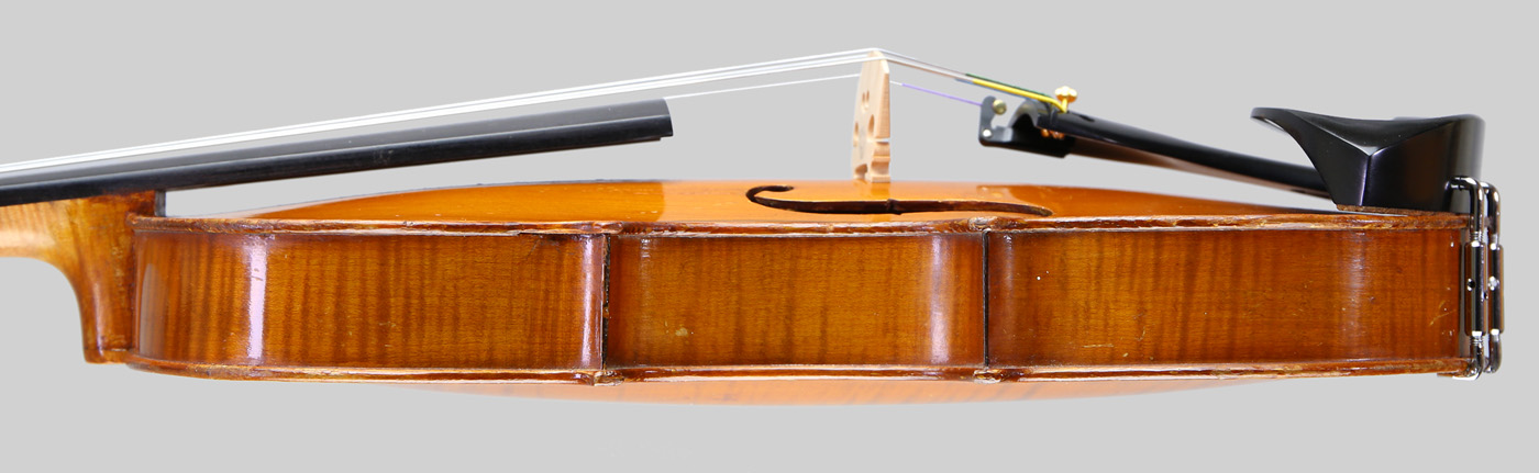 Violin side view