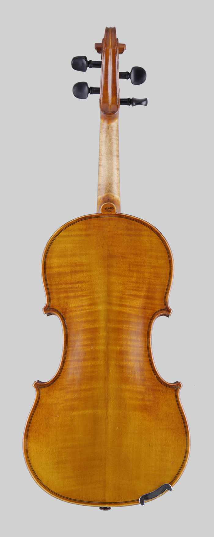 Violin back