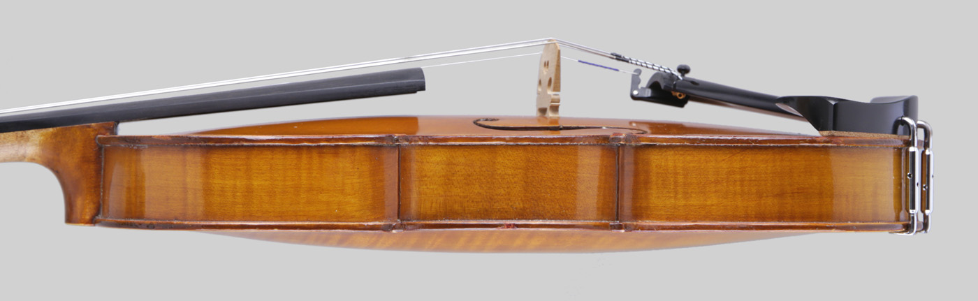 Violin side view