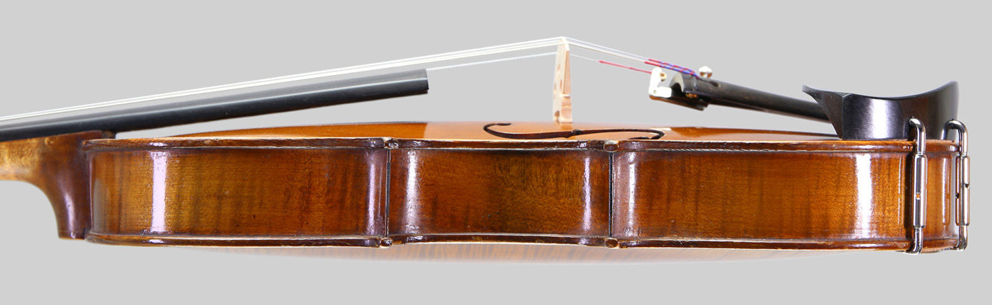 Violin side view